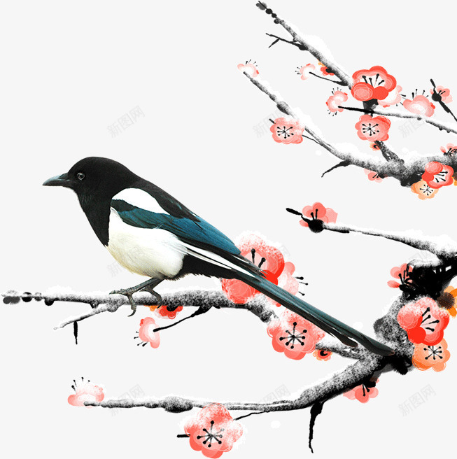 手绘国画枝头红花小鸟png免抠素材_新图网 https://ixintu.com 国画 小鸟 手绘 枝头 红花
