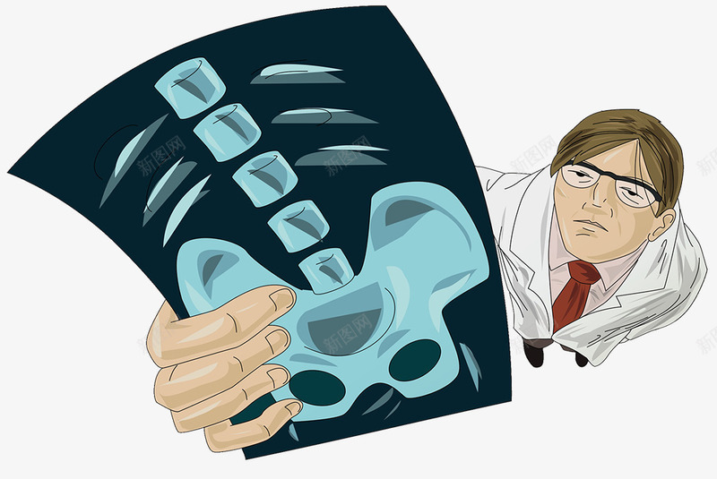 卡通插图骨盆X光片png免抠素材_新图网 https://ixintu.com 关节 医学 卡通插图 尾骨 骨 骨头 骨盆 髋骨