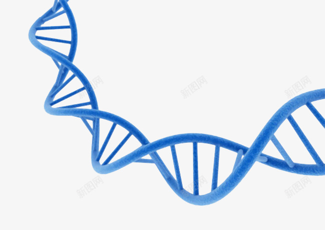深蓝色dna遗传物质基因肽链脱png免抠素材_新图网 https://ixintu.com dna 亲子鉴定 基因 深蓝色 深蓝色dna遗传物质基因肽链脱氧核糖核酸png免费下载 肽链 脱氧核糖核酸png 遗传物质