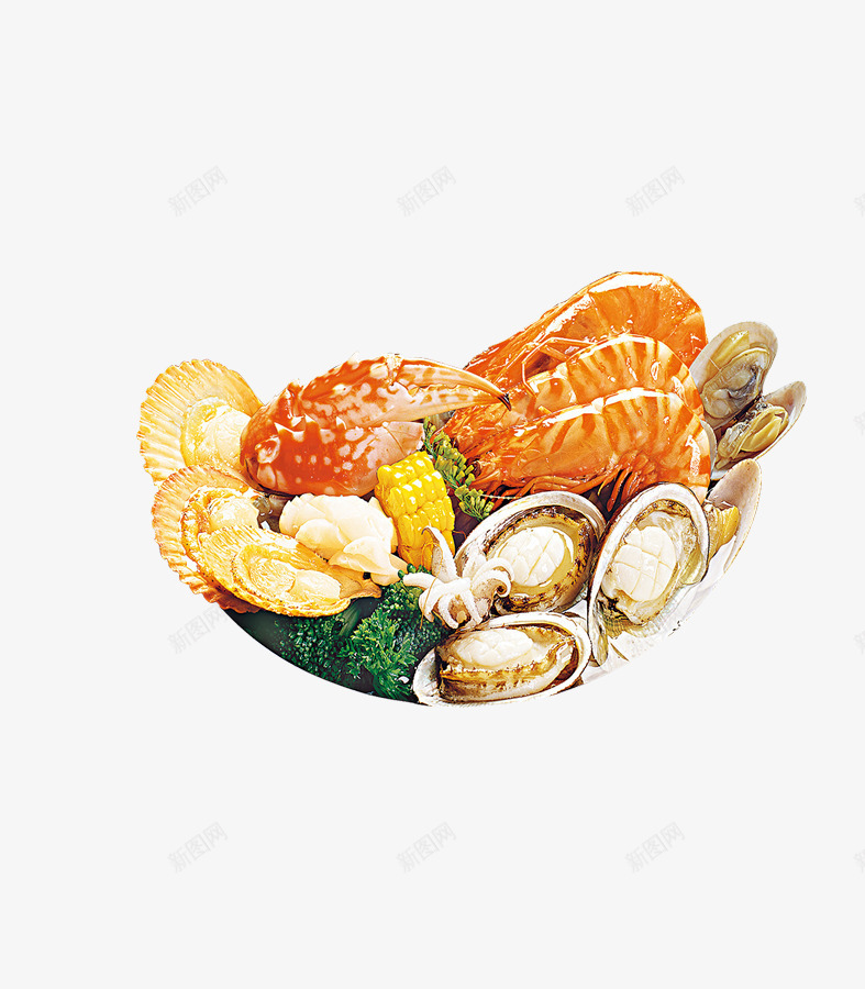 贝壳虾螃蟹png免抠素材_新图网 https://ixintu.com 健康食品 大虾 美食 虾 虾免费下载 螃蟹 贝壳