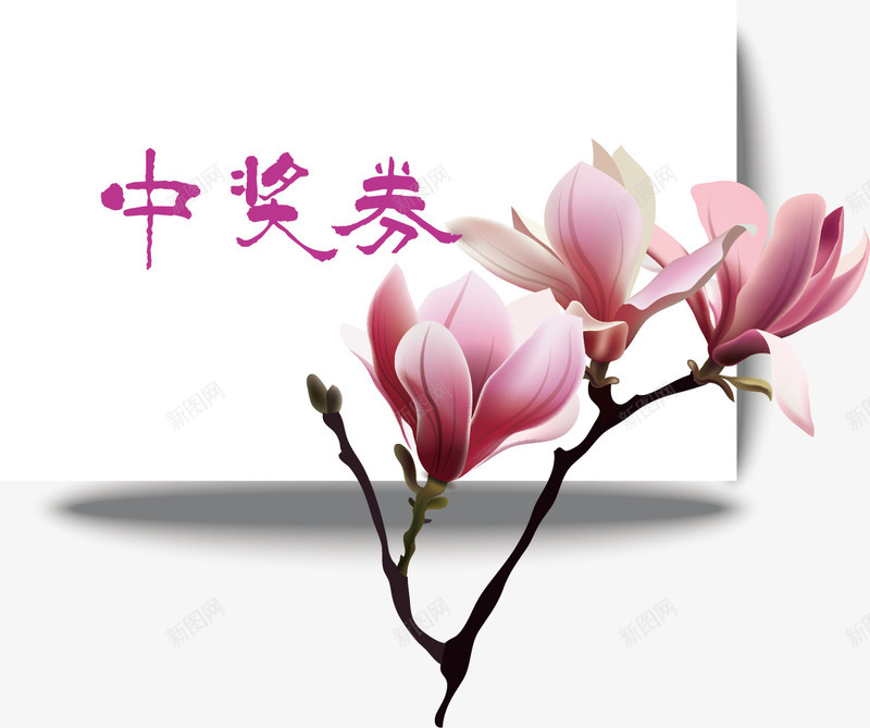 白色卡片中奖券png免抠素材_新图网 https://ixintu.com 中奖券 唯美 植物 玉兰花 白色卡片 简约 花朵