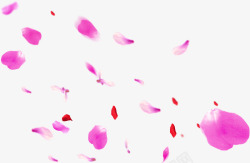 粉色卡通漂浮花瓣装饰素材