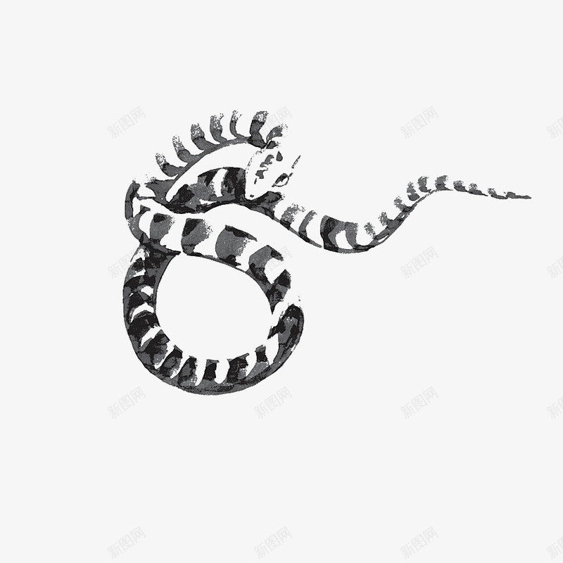 中国风黑色水墨蛇png免抠素材_新图网 https://ixintu.com 动物 手绘 插画 毒蛇 水墨 水墨蛇 生物 生肖 蛇 蛇类
