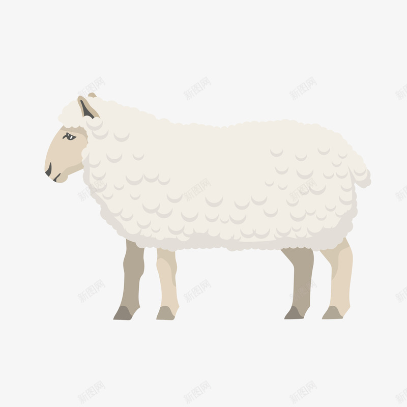 卡通羊矢量图eps免抠素材_新图网 https://ixintu.com PNG图 PNG图下载 创意卡通 十二生肖 卡通 卡通插图 插图 绵羊 羊 矢量图