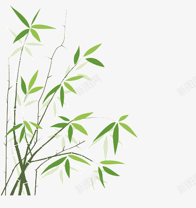 细小的竹子png免抠素材_新图网 https://ixintu.com 枝条 绿叶 阴影