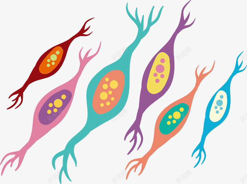 可爱彩色医学细胞png免抠素材_新图网 https://ixintu.com 医学细胞 可爱 手绘 生物 研究 细胞
