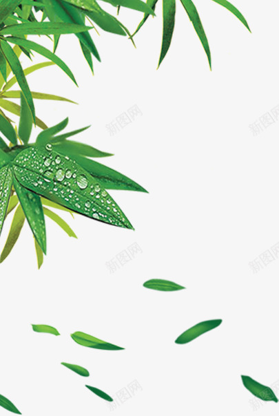 绿色竹叶上的水珠团队png免抠素材_新图网 https://ixintu.com 团队 水珠 竹叶 绿色 飘落的竹叶