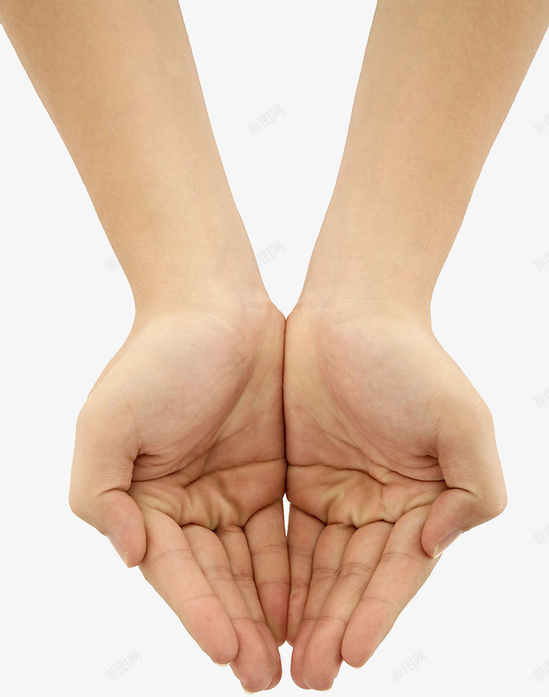 俯视图双手捧水png免抠素材_新图网 https://ixintu.com 一个人双手 人物手势 商务科技 真人手势