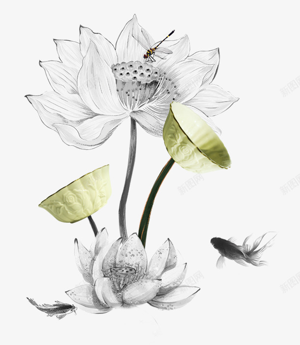荷塘荷花png免抠素材_新图网 https://ixintu.com 中国特色 中国风 水墨 竹子荷花荷叶满池塘 荷叶 荷塘月色 荷花 蜻蜓 金鱼