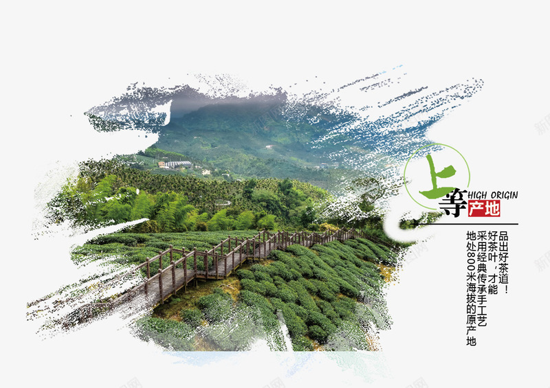 茶叶产地png免抠素材_新图网 https://ixintu.com 中国风 中国风茶叶宣传 中秋节茶叶 撕边相片 水墨风格 环保宣传 茶叶 茶园