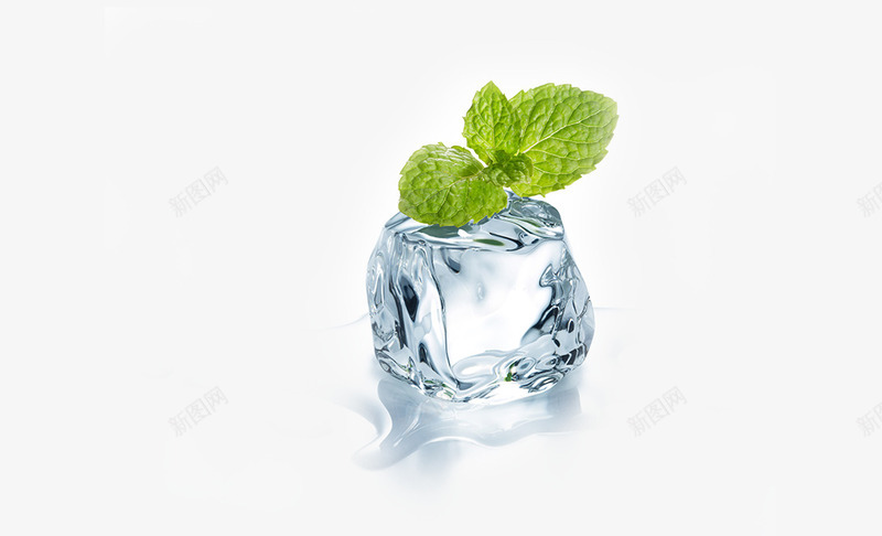 薄荷冰块png免抠素材_新图网 https://ixintu.com 小冰块 绿叶薄荷 饮食
