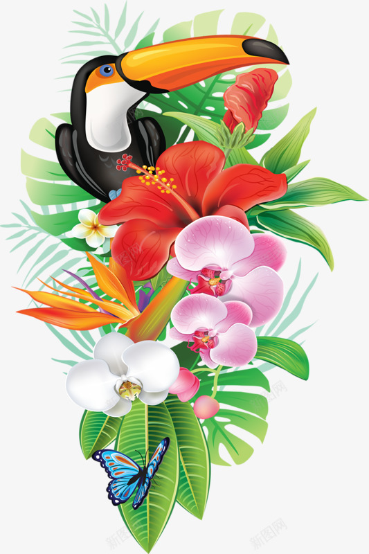 鲜花犀鸟png免抠素材_新图网 https://ixintu.com 犀鸟 红花 花鸟 鲜花