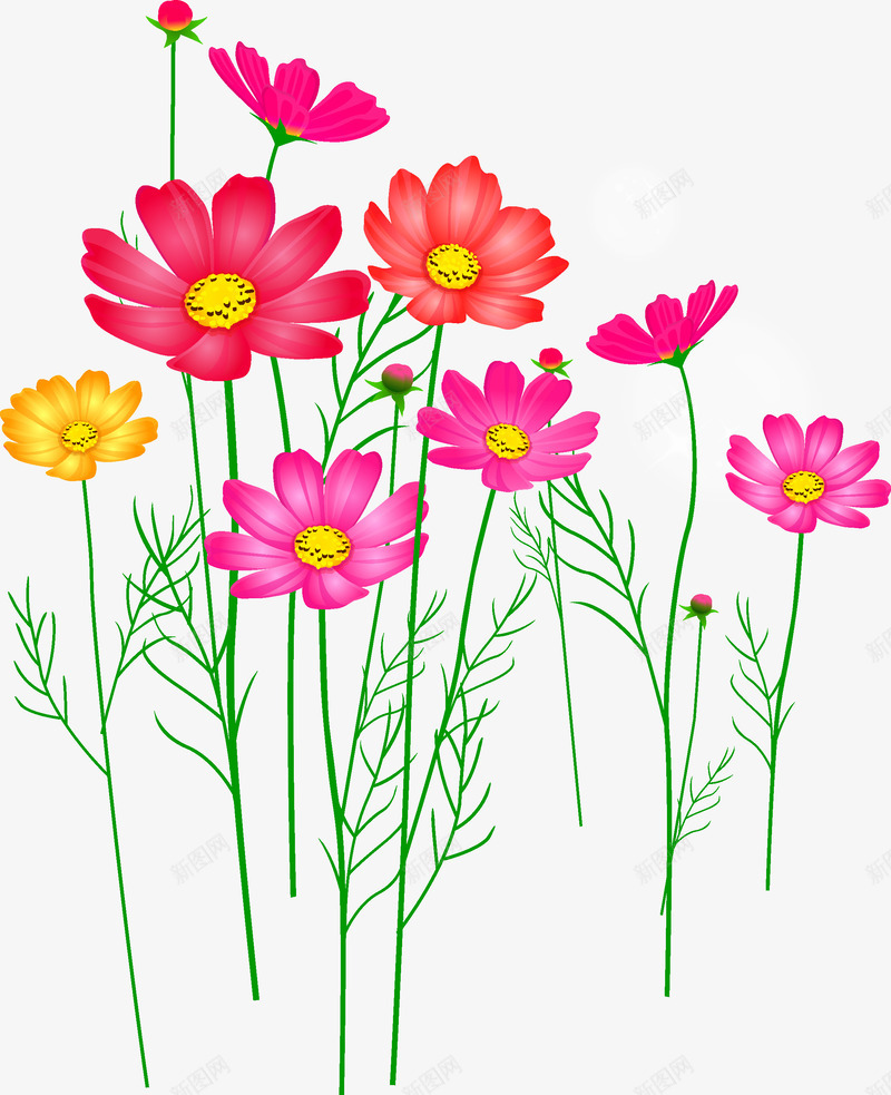 菊花矢量图ai免抠素材_新图网 https://ixintu.com 红色 花卉 花朵 菊花 矢量图
