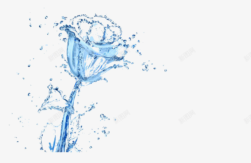 水花png免抠素材_新图网 https://ixintu.com 一滩水花 水 水花 玫瑰