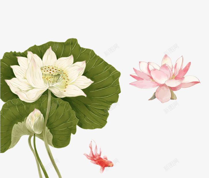 古风元素psd免抠素材_新图网 https://ixintu.com 古风组合 荷花 莲花 金鱼