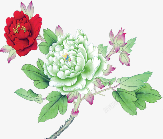手绘绿色牡丹花海报png免抠素材_新图网 https://ixintu.com 海报 牡丹花 绿色