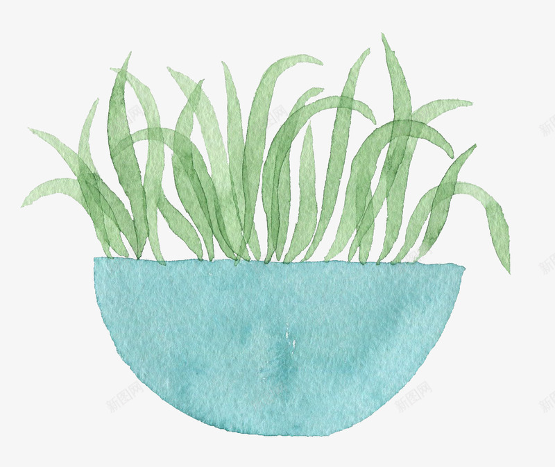 盆栽绿草png免抠素材_新图网 https://ixintu.com 植物 水彩植物 绿叶 蓝色花盆