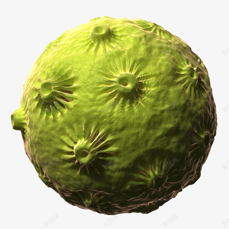 病毒3D立体插画png免抠素材_新图网 https://ixintu.com 微生物学 生物学 病毒3D立体插画 病毒学 病毒颗粒 细胞 绿色