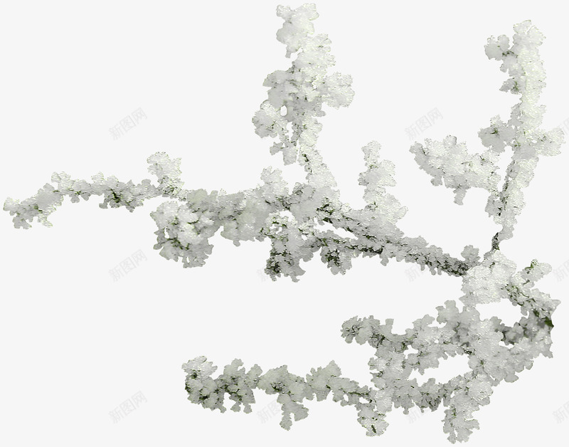 白雪树枝png免抠素材_新图网 https://ixintu.com 枯枝 树枝 白雪