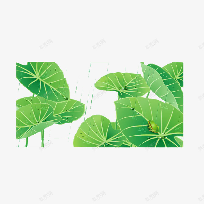 细雨荷塘png免抠素材_新图网 https://ixintu.com 微风细雨 清风徐徐 清风徐来 细雨 荷叶 荷塘 青蛙