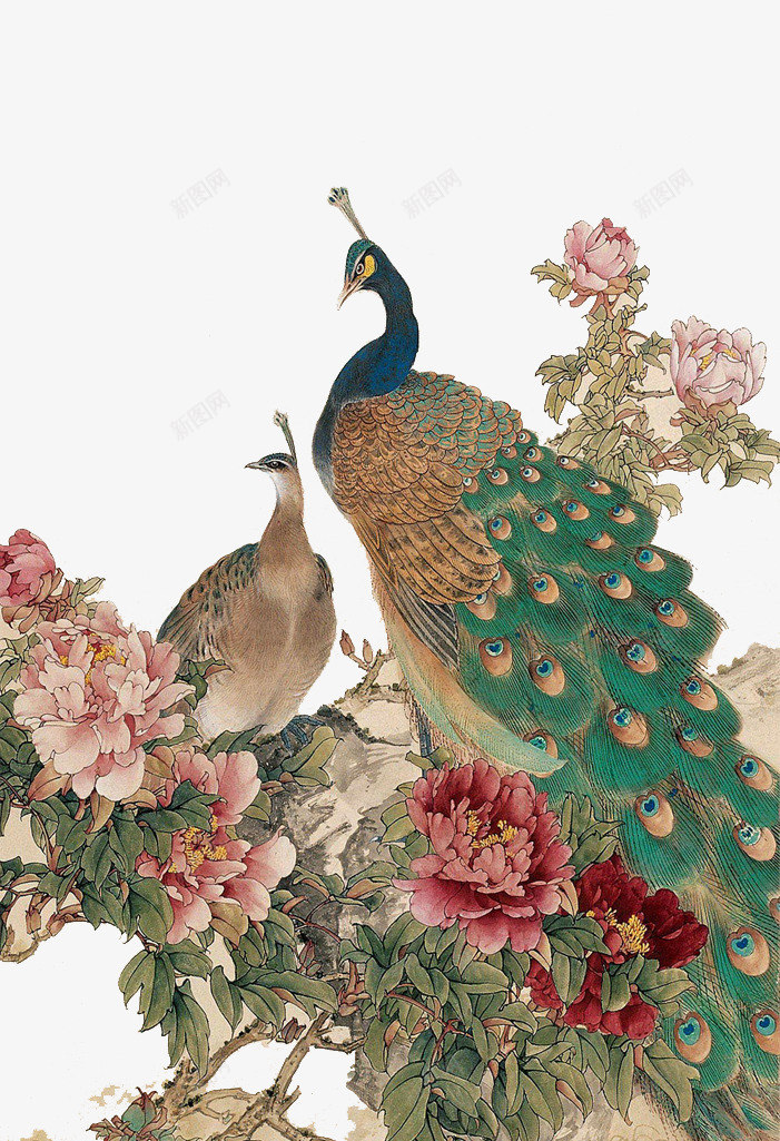 孔雀png免抠素材_新图网 https://ixintu.com 中国风 孔雀 牡丹 花鸟图