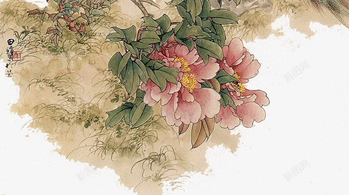 孔雀png免抠素材_新图网 https://ixintu.com 中国风 孔雀 牡丹 花鸟图
