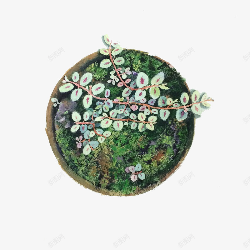 苔藓盆栽png免抠素材_新图网 https://ixintu.com 小草 盆栽 盆栽免抠素材 苔藓