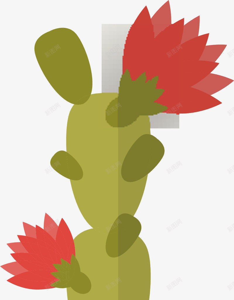 卡通仙人掌花png免抠素材_新图网 https://ixintu.com 仙人掌花 卡通 室内盆栽 小盆栽 植物盆栽 盆栽花 绿色盆栽