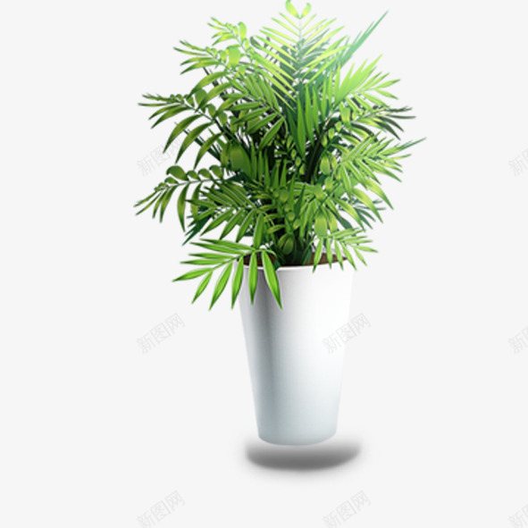盆栽植物插花艺术png免抠素材_新图网 https://ixintu.com 插花 植物 盆栽 艺术
