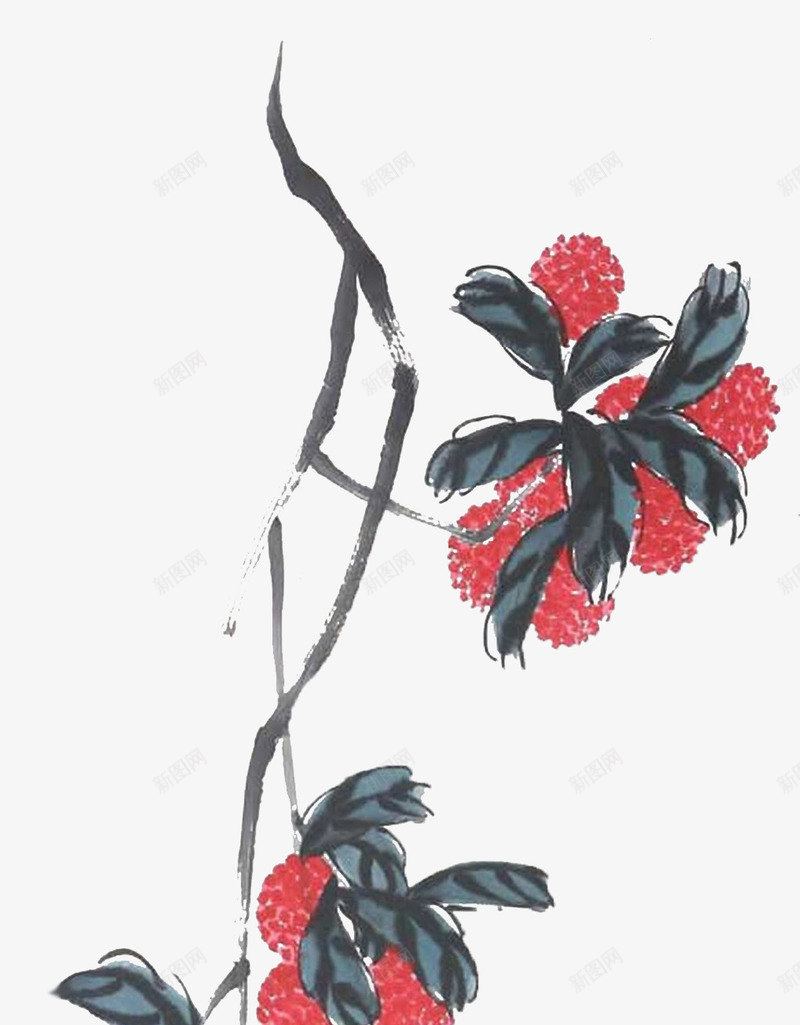 一串藤上的荔枝png免抠素材_新图网 https://ixintu.com 一串 一束荔枝 中国风 国画 大师作品 毛笔画 荔枝 荔枝花