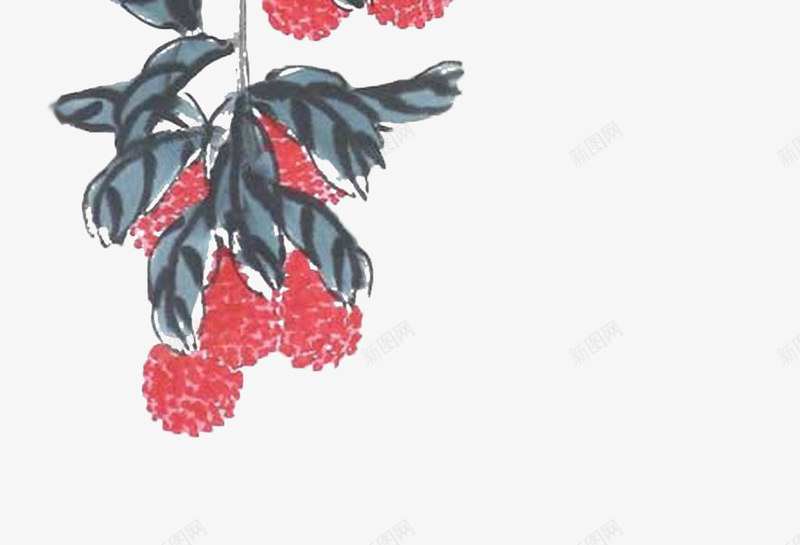 一串藤上的荔枝png免抠素材_新图网 https://ixintu.com 一串 一束荔枝 中国风 国画 大师作品 毛笔画 荔枝 荔枝花
