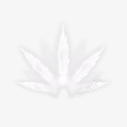 羽毛扩张效果元素png免抠素材_新图网 https://ixintu.com 白色 羽毛扩张 雪花形状