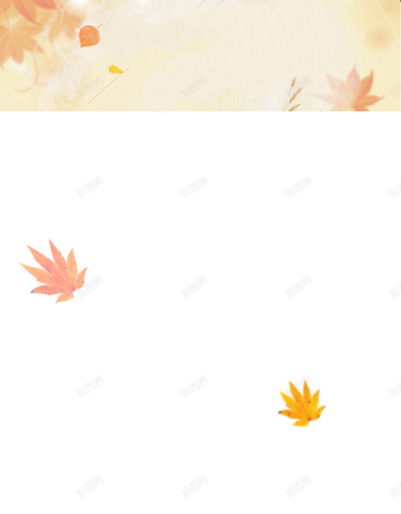 秋天枫叶背景png免抠素材_新图网 https://ixintu.com 秋天枫叶背景