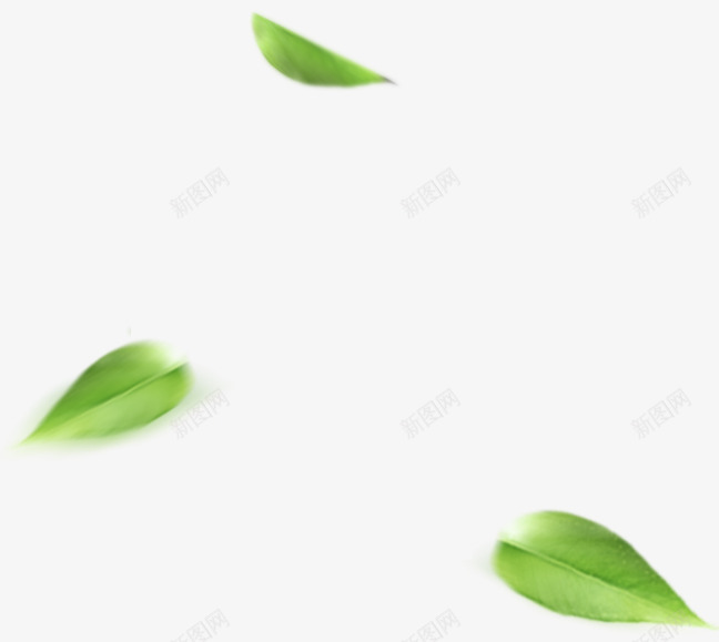 模糊虚化绿色树叶png免抠素材_新图网 https://ixintu.com 树叶 模糊 绿色 虚化