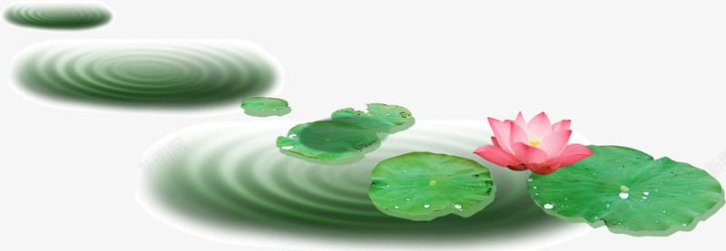 荷花荷叶图案png免抠素材_新图网 https://ixintu.com 图案 荷叶 荷花