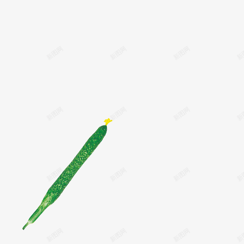 美味的黄瓜png免抠素材_新图网 https://ixintu.com 绿色 美味 黄瓜