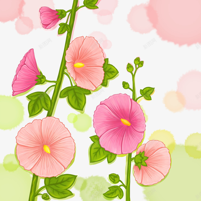 芙蓉葵卡片背景png免抠素材_新图网 https://ixintu.com 卡片背景 手绘 红色 花