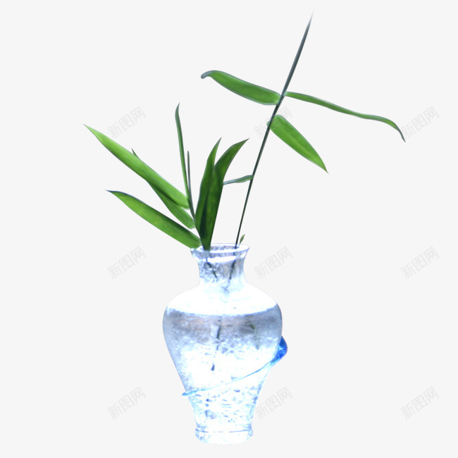 花卉png免抠素材_新图网 https://ixintu.com 家居摆件 家居装饰家居摆件 工艺品 盆景 盆栽 花卉 花瓶 鲜花