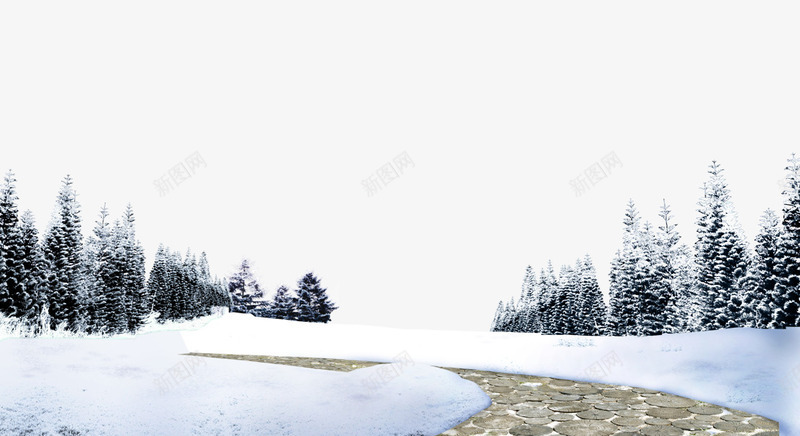 松林雪地png免抠素材_新图网 https://ixintu.com 小路 松树林 积雪 雪地 雪景