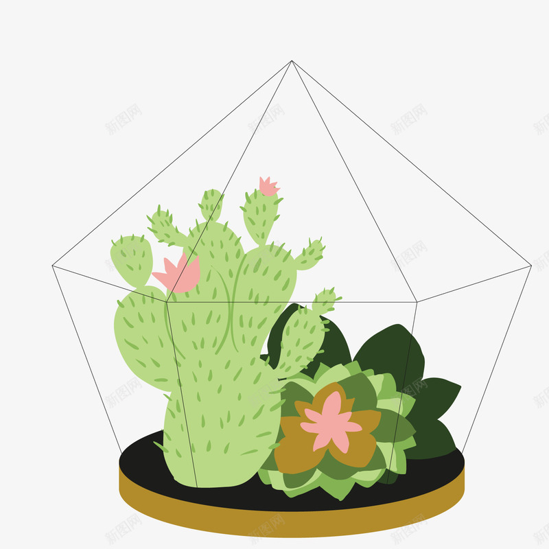 微盆栽png免抠素材_新图网 https://ixintu.com PNG免抠图下载 微景观 植物 绿色 肉桂 装饰
