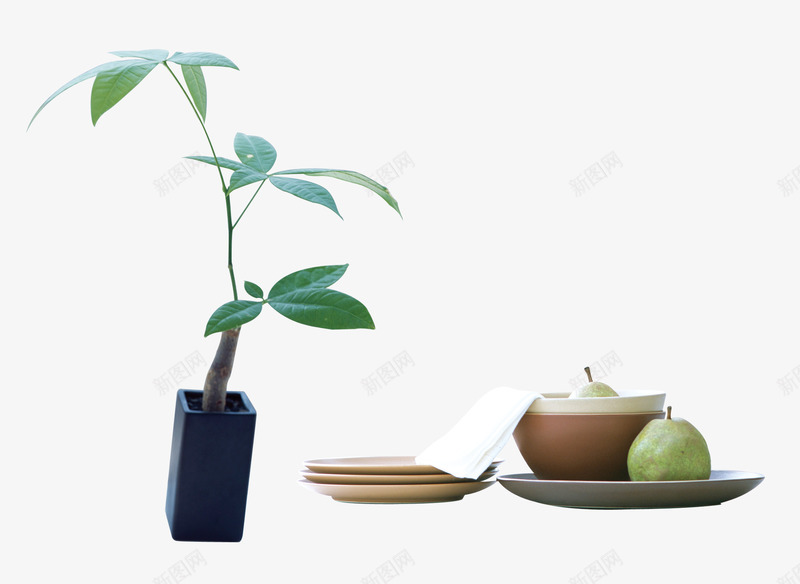 花瓶盆栽绿植psd免抠素材_新图网 https://ixintu.com 免抠素材 盆栽 绿植 绿色盆栽 花瓶