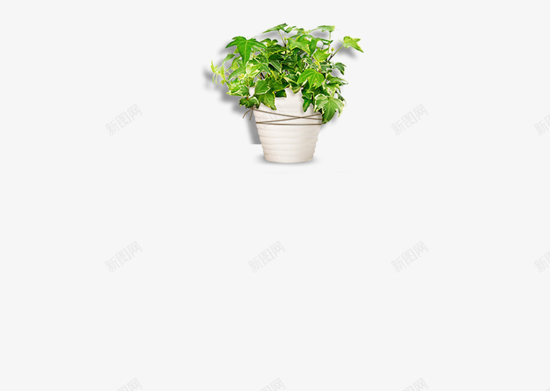 白色花盆植物盆栽办公室植物png免抠素材_新图网 https://ixintu.com 白色花盆植物盆栽办公室植物庭院