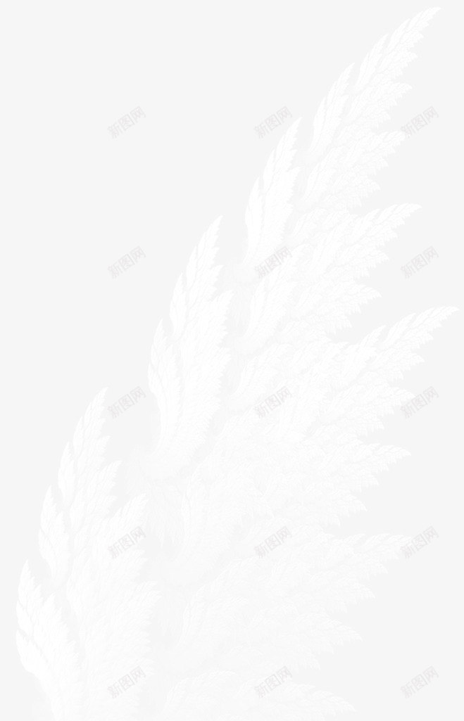 手绘白色清新羽毛装饰png免抠素材_新图网 https://ixintu.com 清新 白色 羽毛 装饰