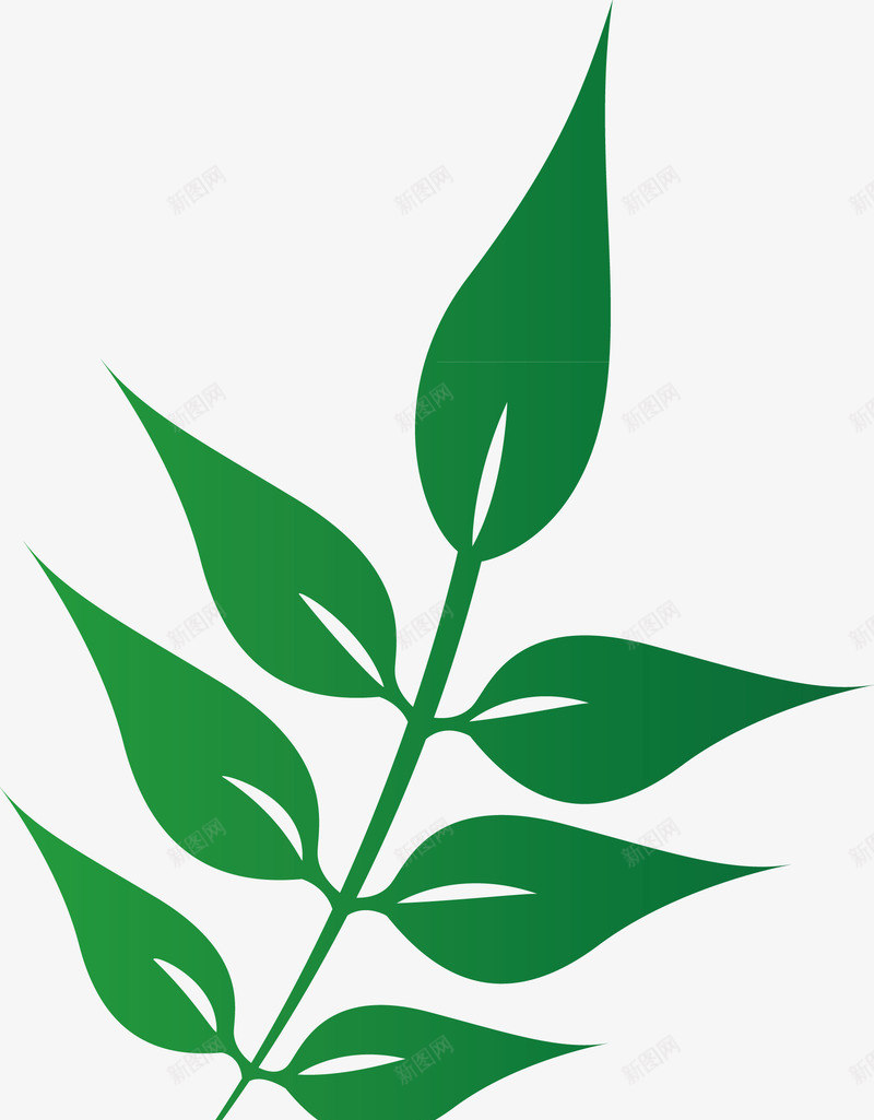 茉莉花叶子热带植物叶子矢量图ai免抠素材_新图网 https://ixintu.com 一堆叶子 中国风叶子 叶子素描 叶子纹 叶子藤曼 桃树叶子 飘动的叶子 矢量图