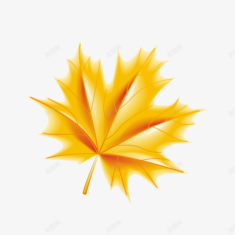 卡通枫叶矢量图eps免抠素材_新图网 https://ixintu.com PNG图 PNG图下载 创意卡通 卡通 卡通插图 插图 枫叶 秋季 立秋 金色叶子 矢量图