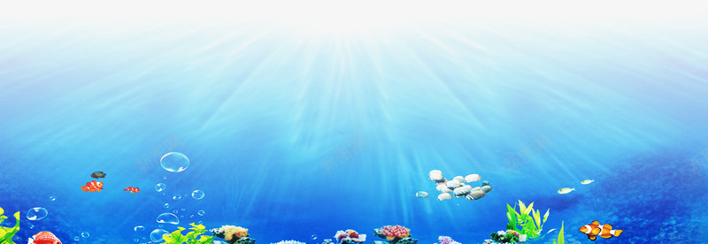 蓝色海洋海底世界png免抠素材_新图网 https://ixintu.com 海底世界 海洋 蓝色