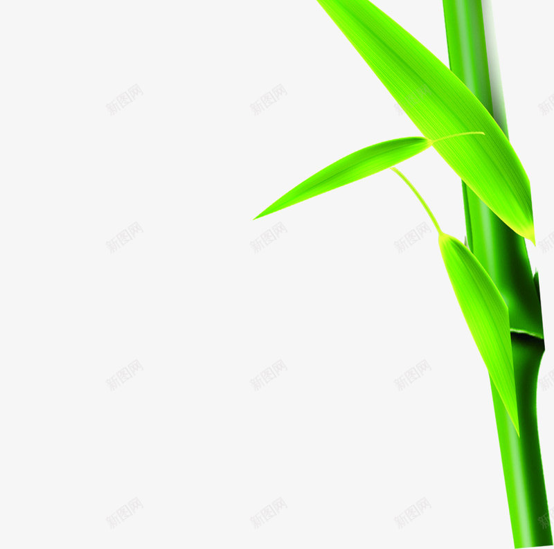 绿色竹叶叶子端午节png免抠素材_新图网 https://ixintu.com 叶子 端午节 竹叶 绿色