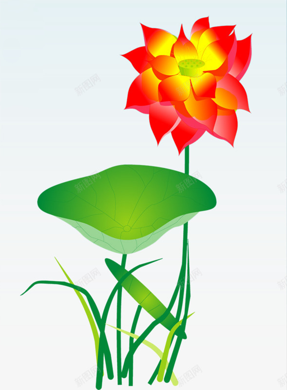 红色花朵荷花荷叶png免抠素材_新图网 https://ixintu.com 红色 花朵 荷叶 荷花