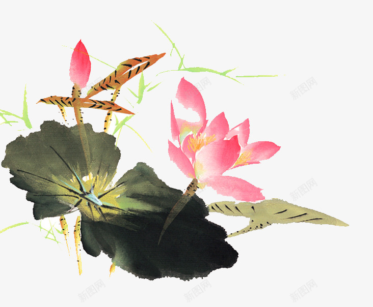 中国风荷花荷效果png免抠素材_新图网 https://ixintu.com 中国风荷花荷效果 中式风格 荷叶 荷花