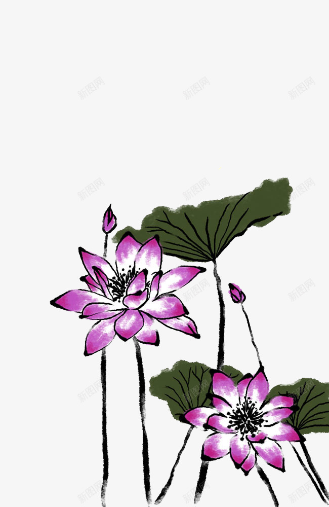 手绘中国风荷花与荷叶png免抠素材_新图网 https://ixintu.com 国风 手绘 荷叶 荷花